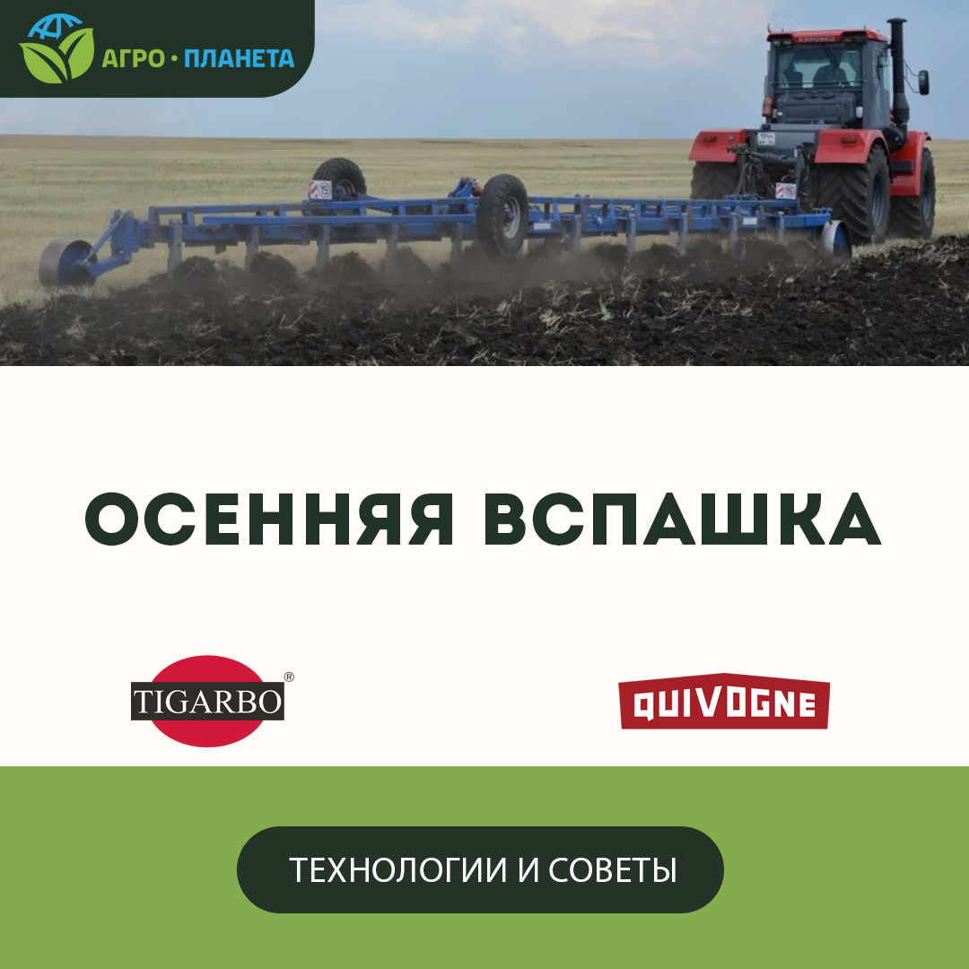 Пахать или не пахать: вот в чем вопрос