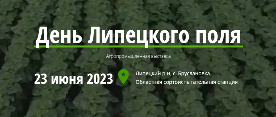 День Липецкого Поля 2023