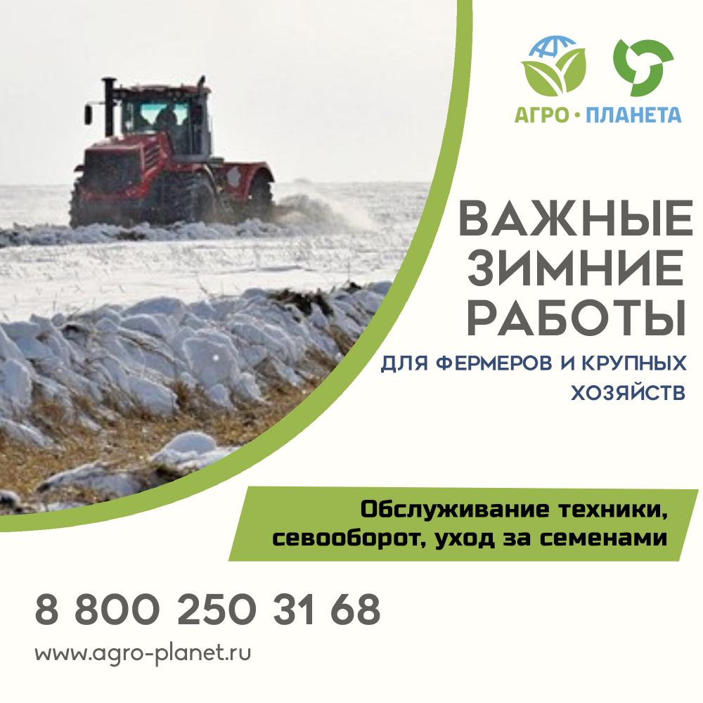Важные зимние работы для фермера: планирование севооборота и подготовка семенного материала